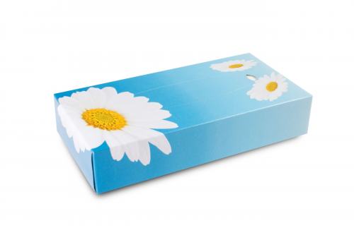 Preview: Kosmetiktücher FUNNY Extra Soft Zellstoff hochweiss Spenderbox 2-lagig